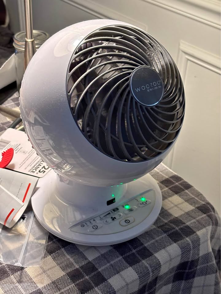 Used woozoo 5 speed globe fan